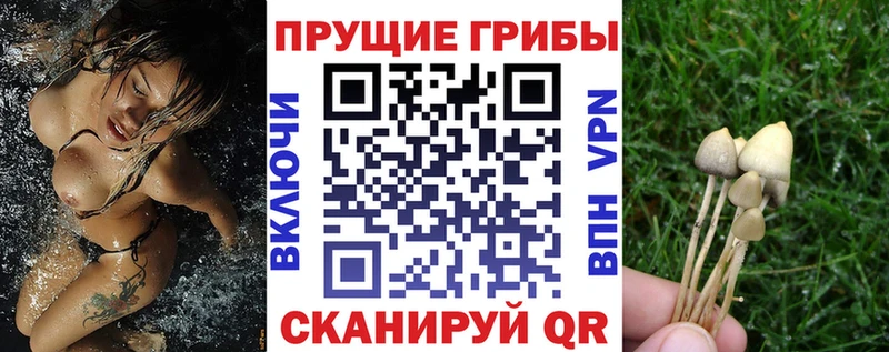 Псилоцибиновые грибы мицелий  Надым 