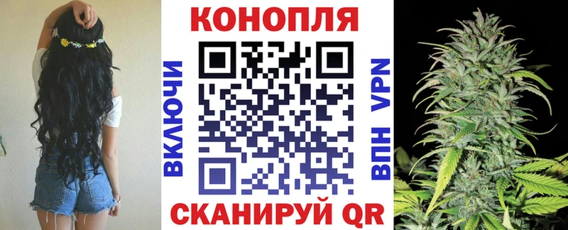 Конопля гибрид Надым